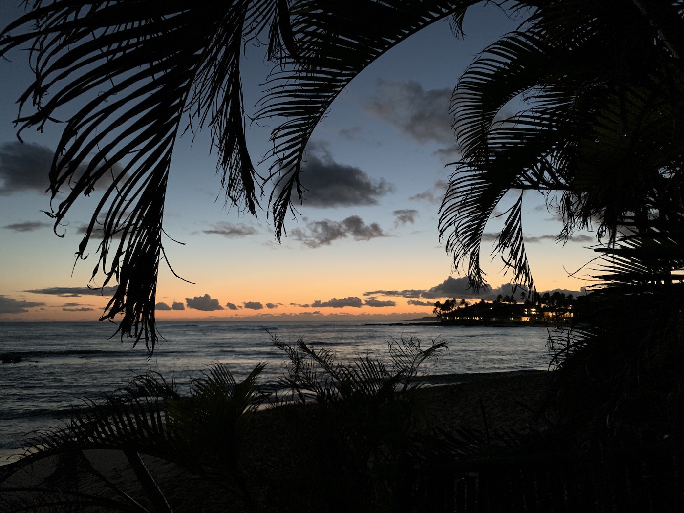Dusk at Poipu Beach, Kaua&rsquo;i, moonlit ocean visible through silhouettes of palm trees